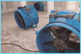 Mold Remediation